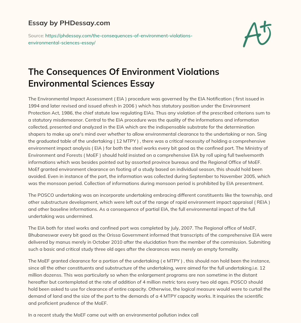 The Consequences Of Environment Violations Environmental Sciences Essay essay
