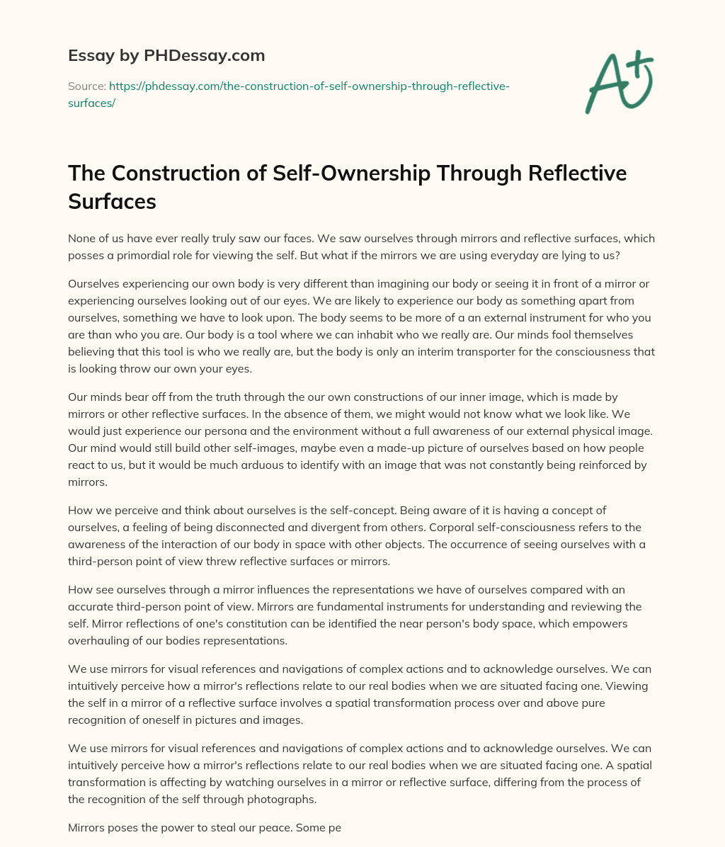 The Construction of Self-Ownership Through Reflective Surfaces essay