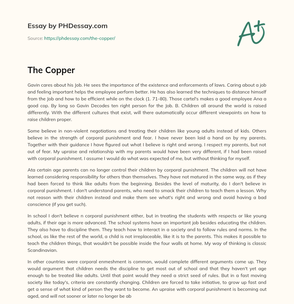 Two Different Perspectives on Work and Parenting essay