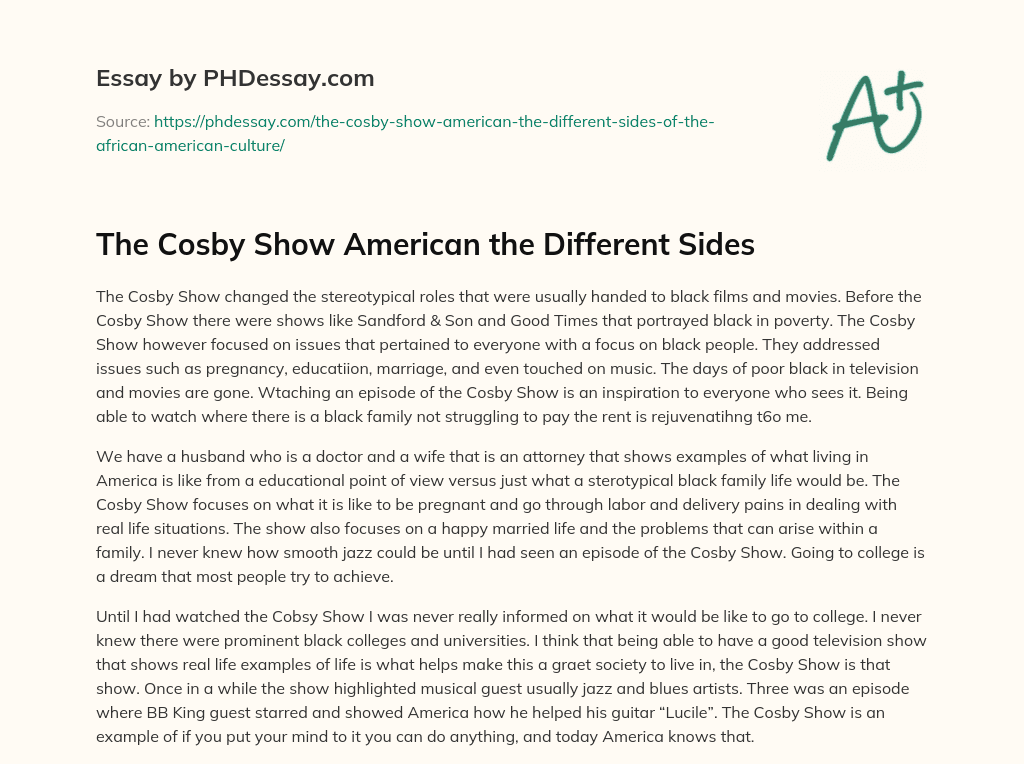 The Cosby Show American the Different Sides essay