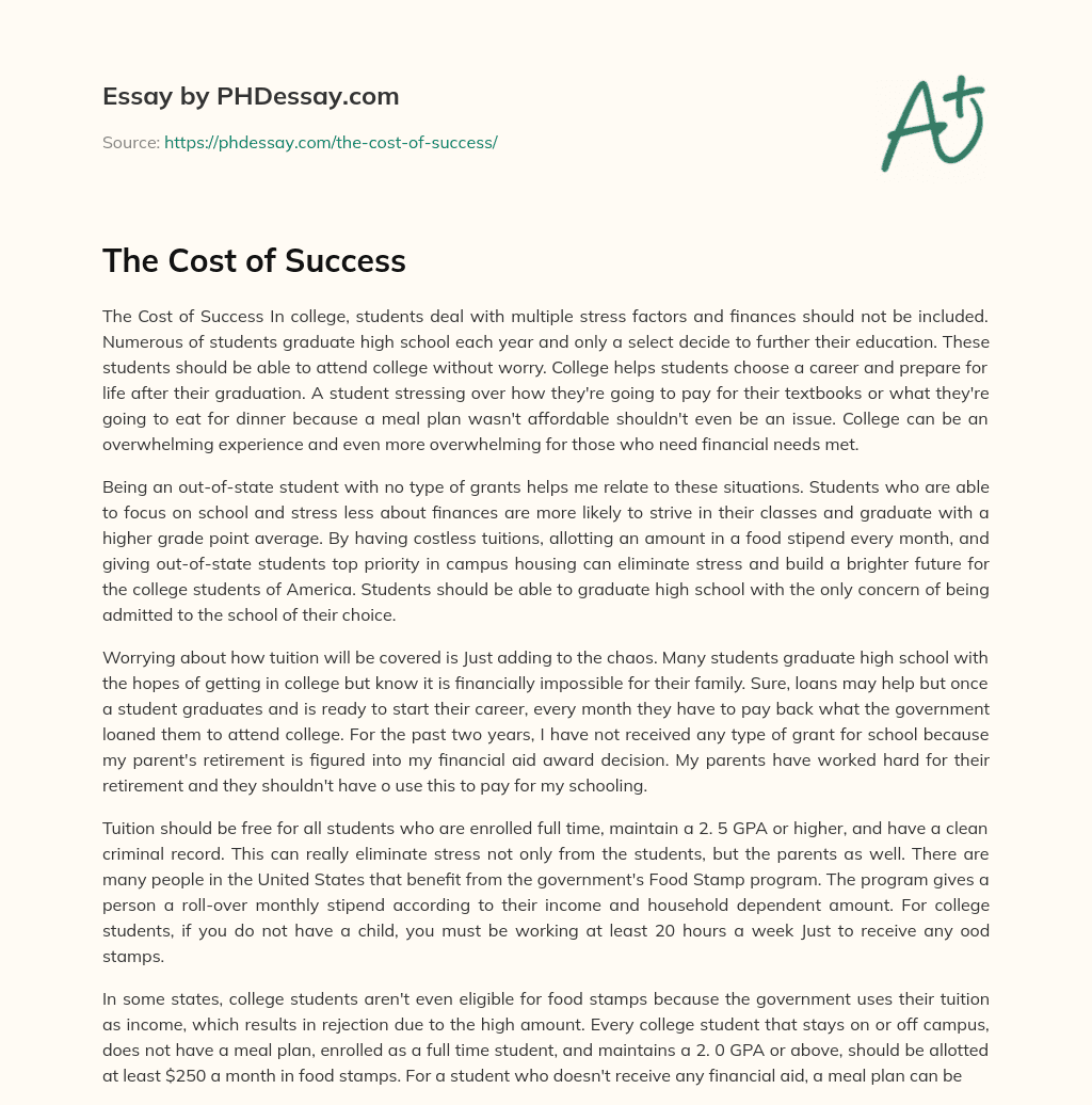The Cost of Success essay