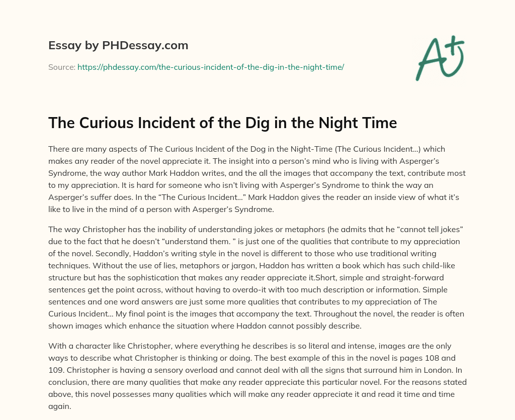 The Curious Incident of the Dig in the Night Time essay