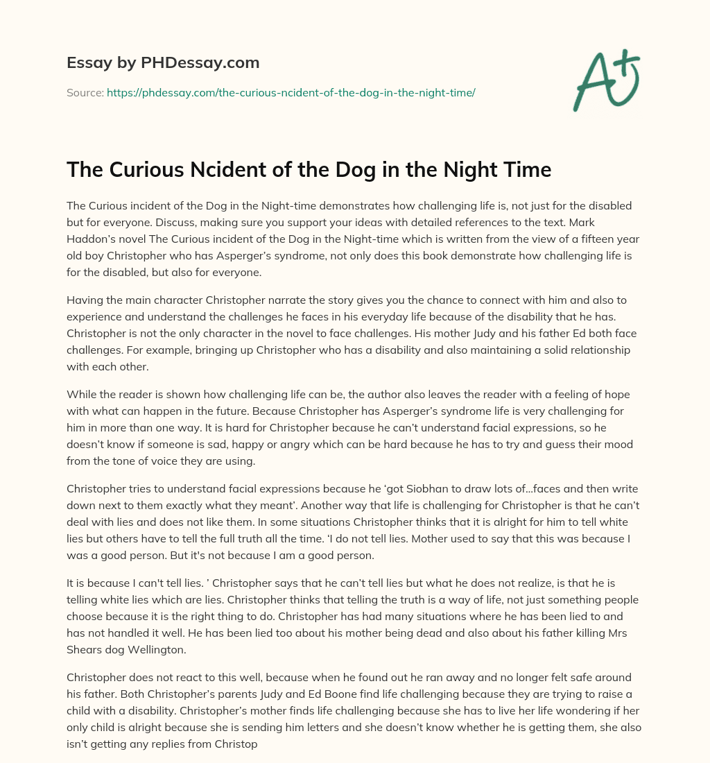 The Curious Ncident of the Dog in the Night Time essay