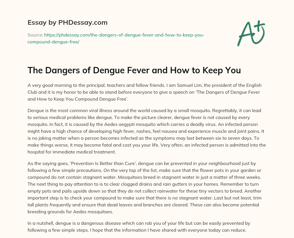 The Dangers of Dengue Fever and How to Keep You essay