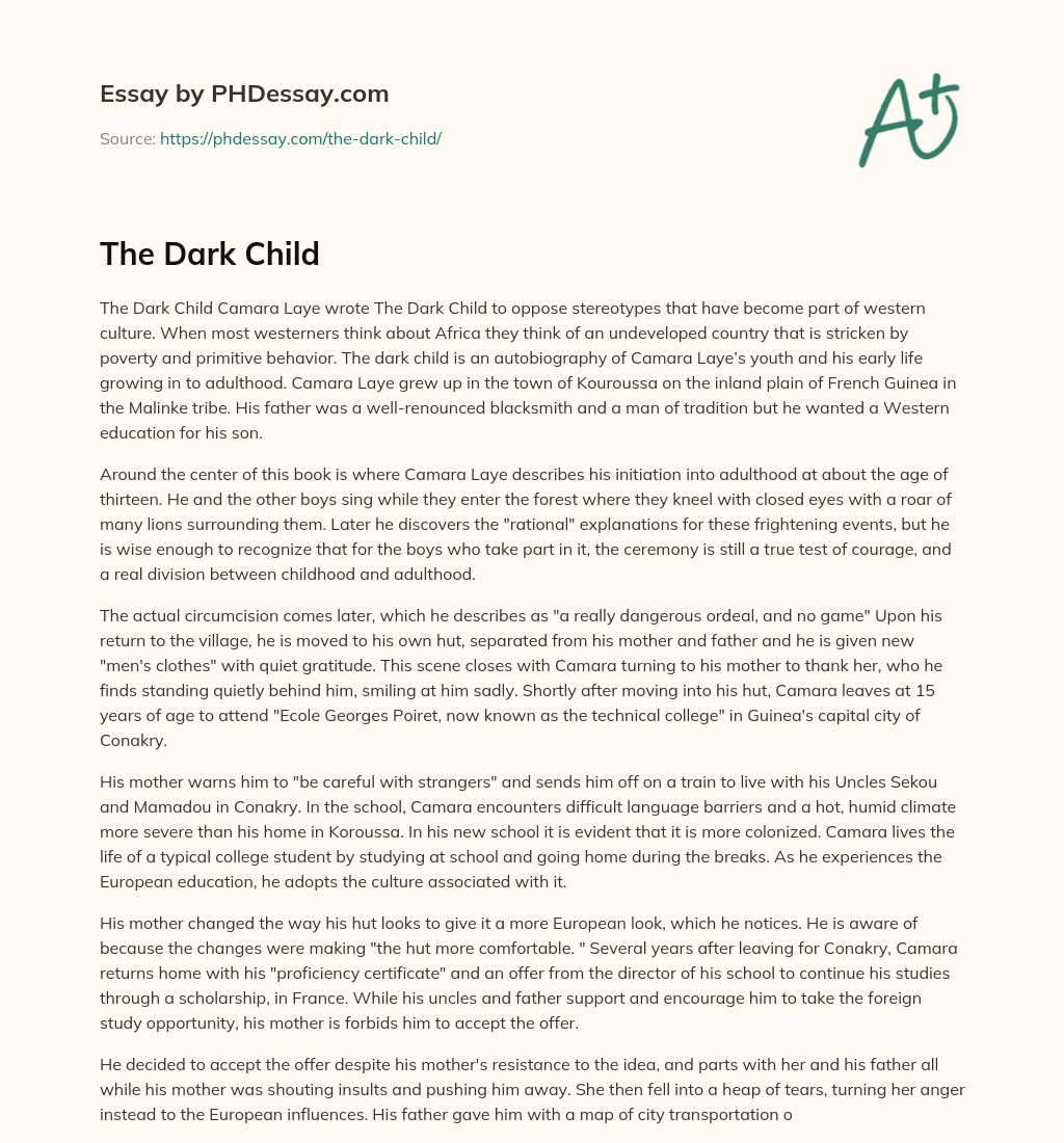 The Dark Child essay