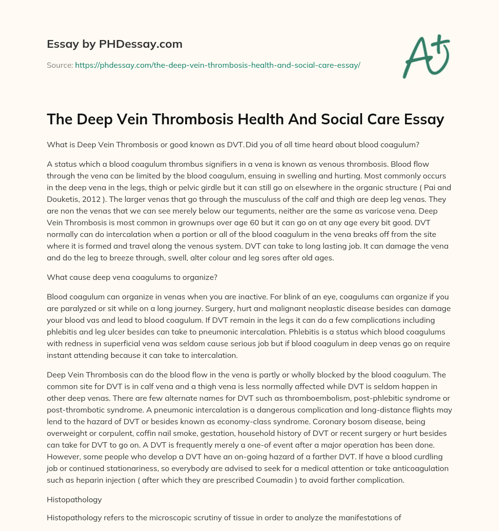 The Deep Vein Thrombosis Health And Social Care Essay essay