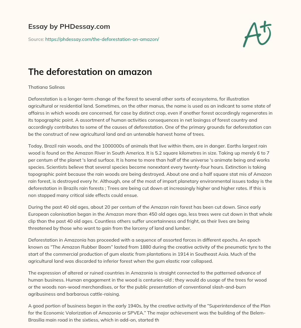 The deforestation on amazon essay