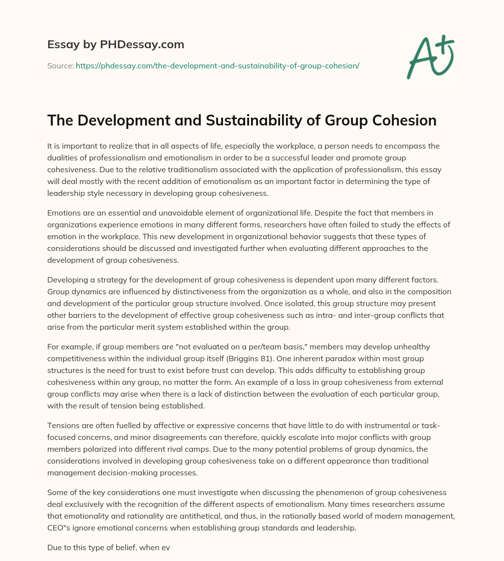 The Development and Sustainability of Group Cohesion essay