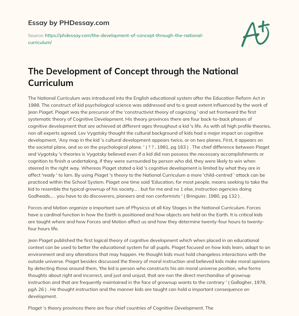 The Development of Concept through the National Curriculum essay