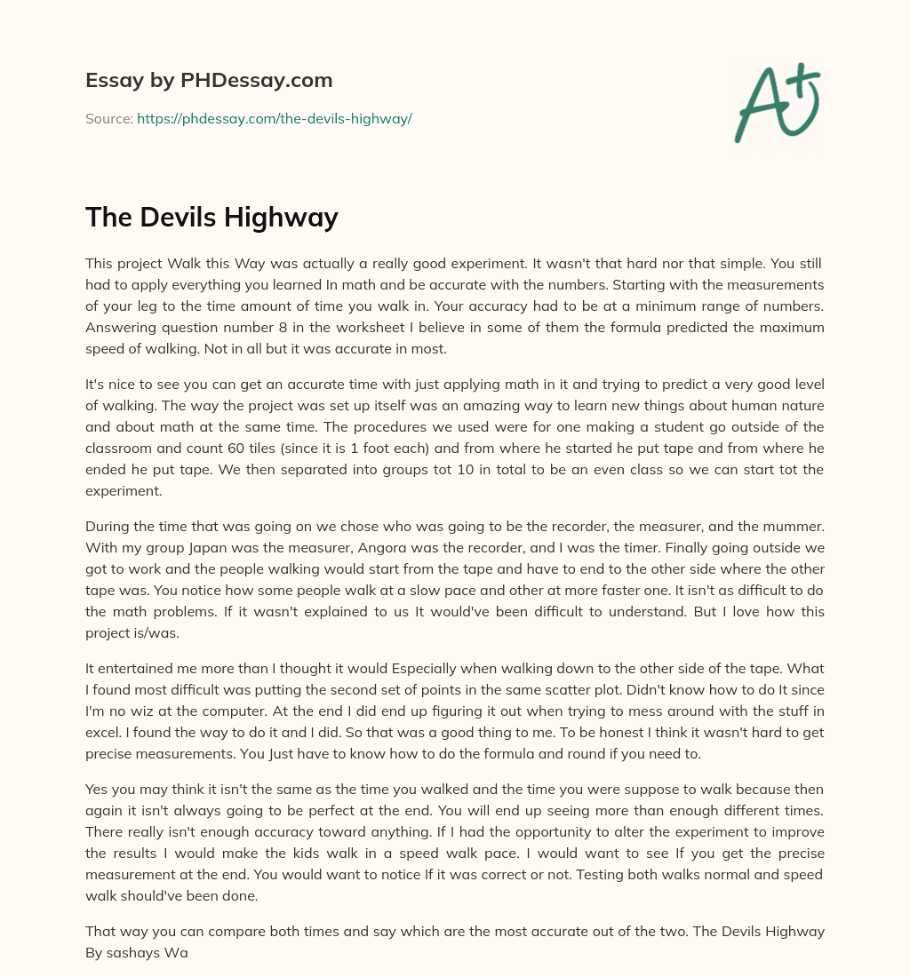 The Devils Highway essay