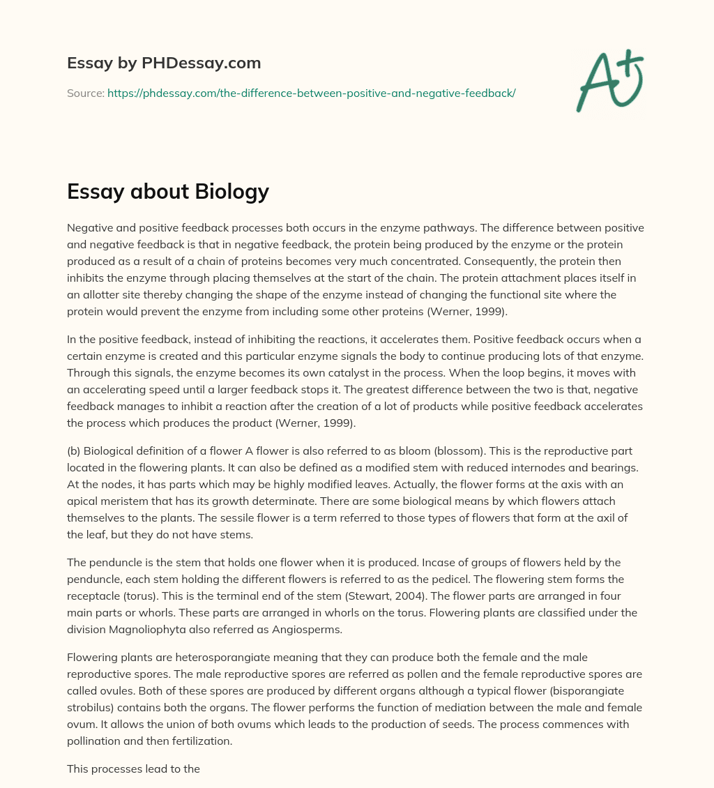 Essay about Biology essay