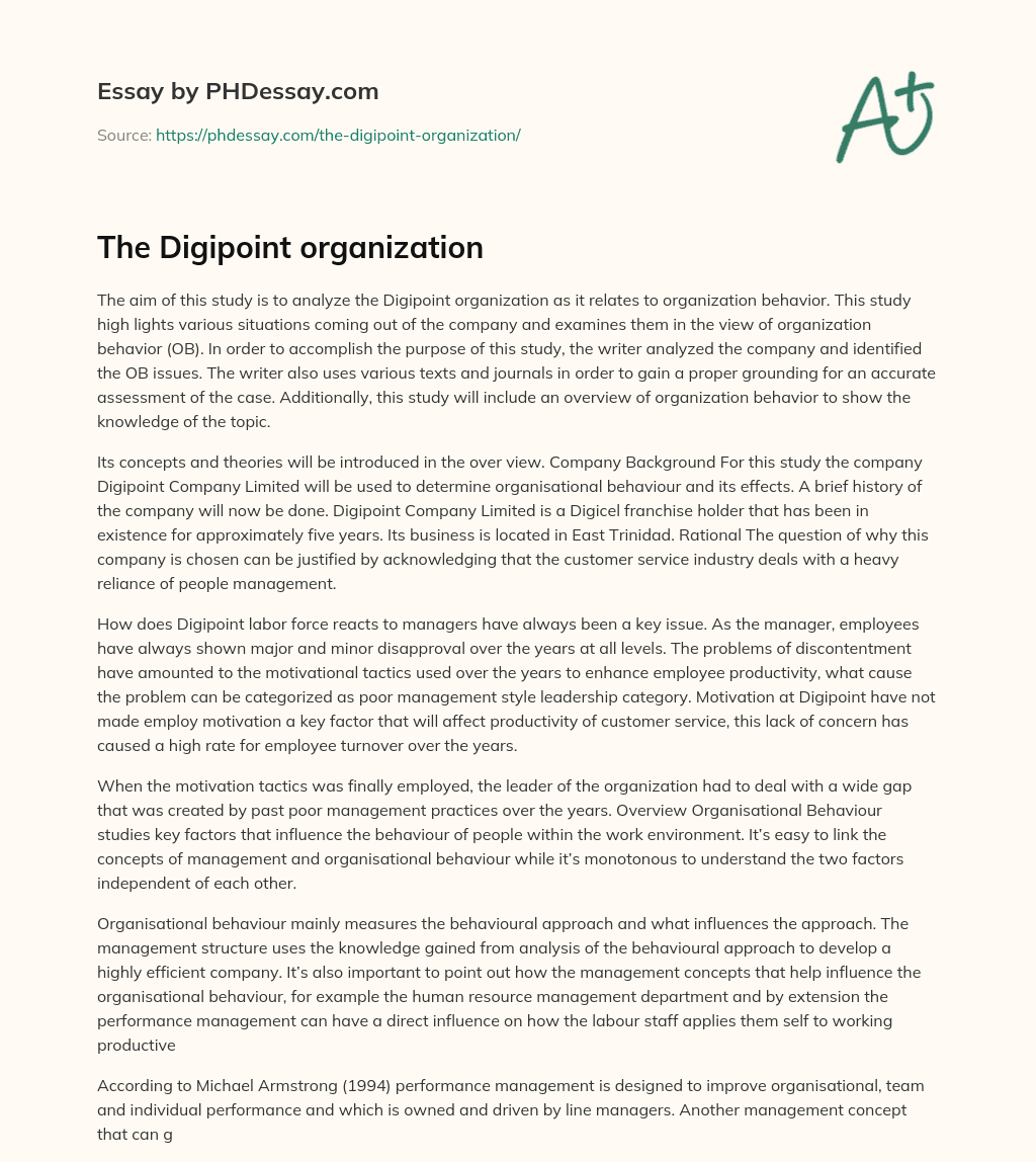The Digipoint organization essay