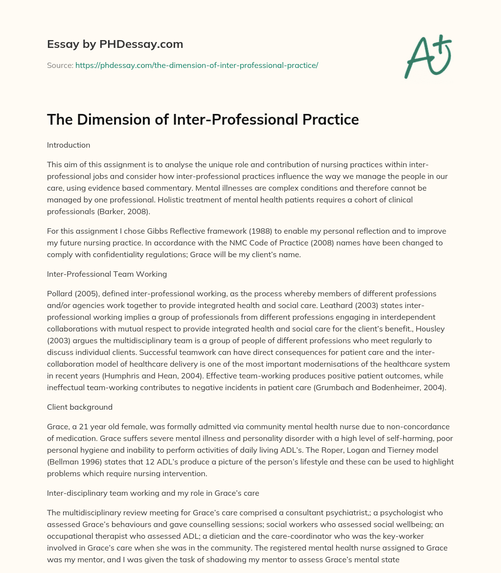 The Dimension of Inter-Professional Practice essay