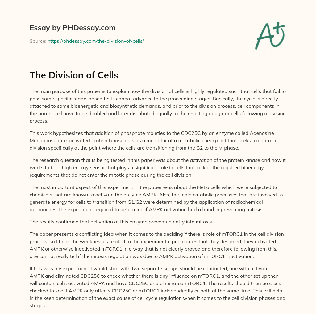 The Division of Cells essay