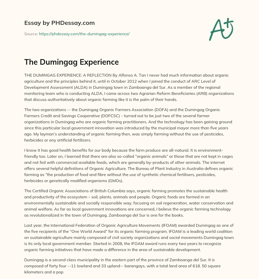 The Dumingag Experience essay