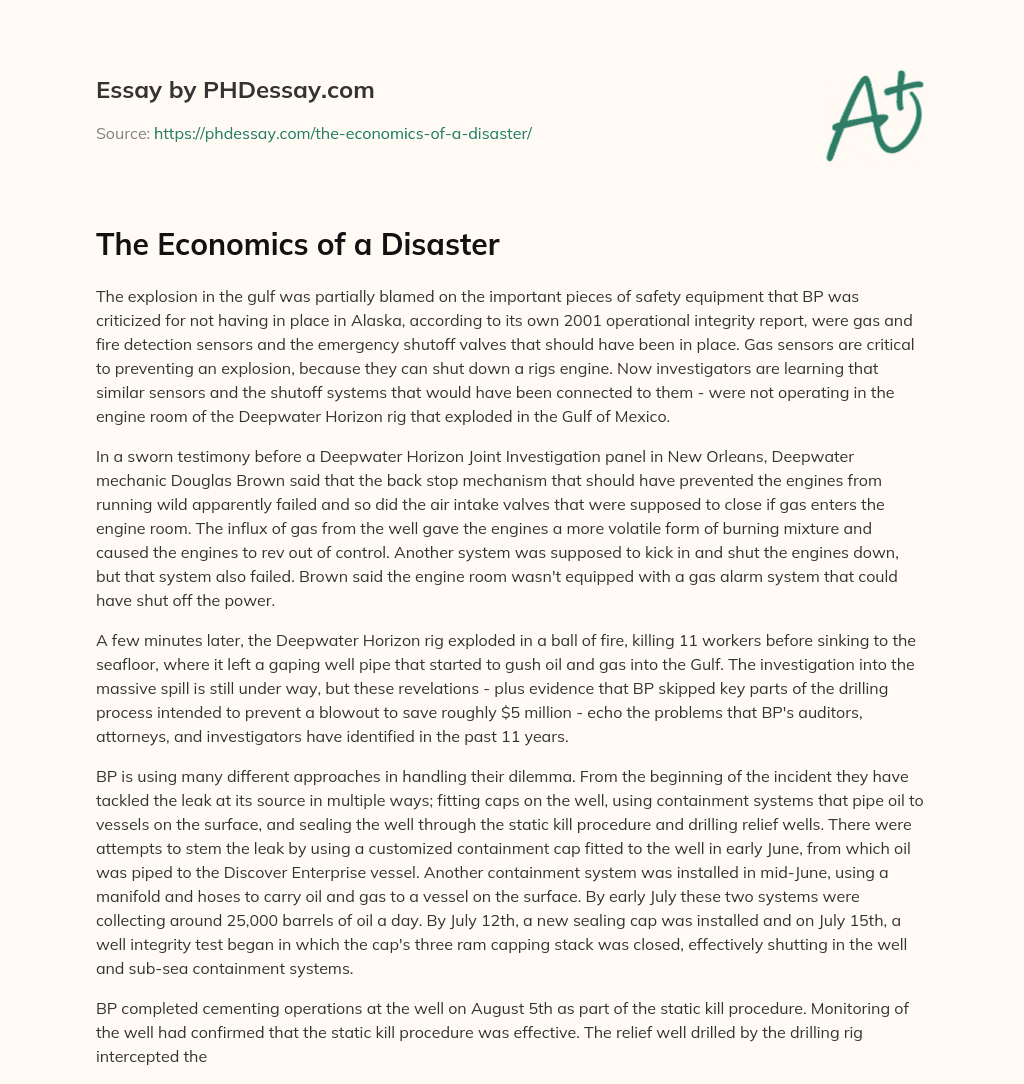 The Economics of a Disaster essay