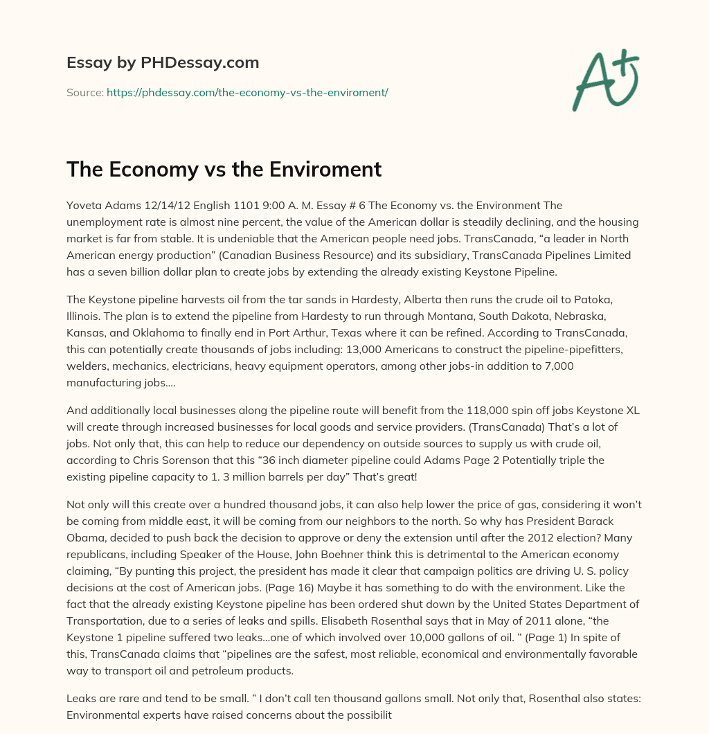 The Economy vs the Enviroment essay
