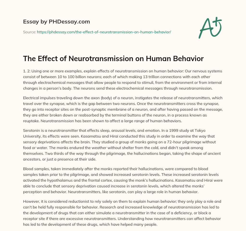 The Effect of Neurotransmission on Human Behavior essay