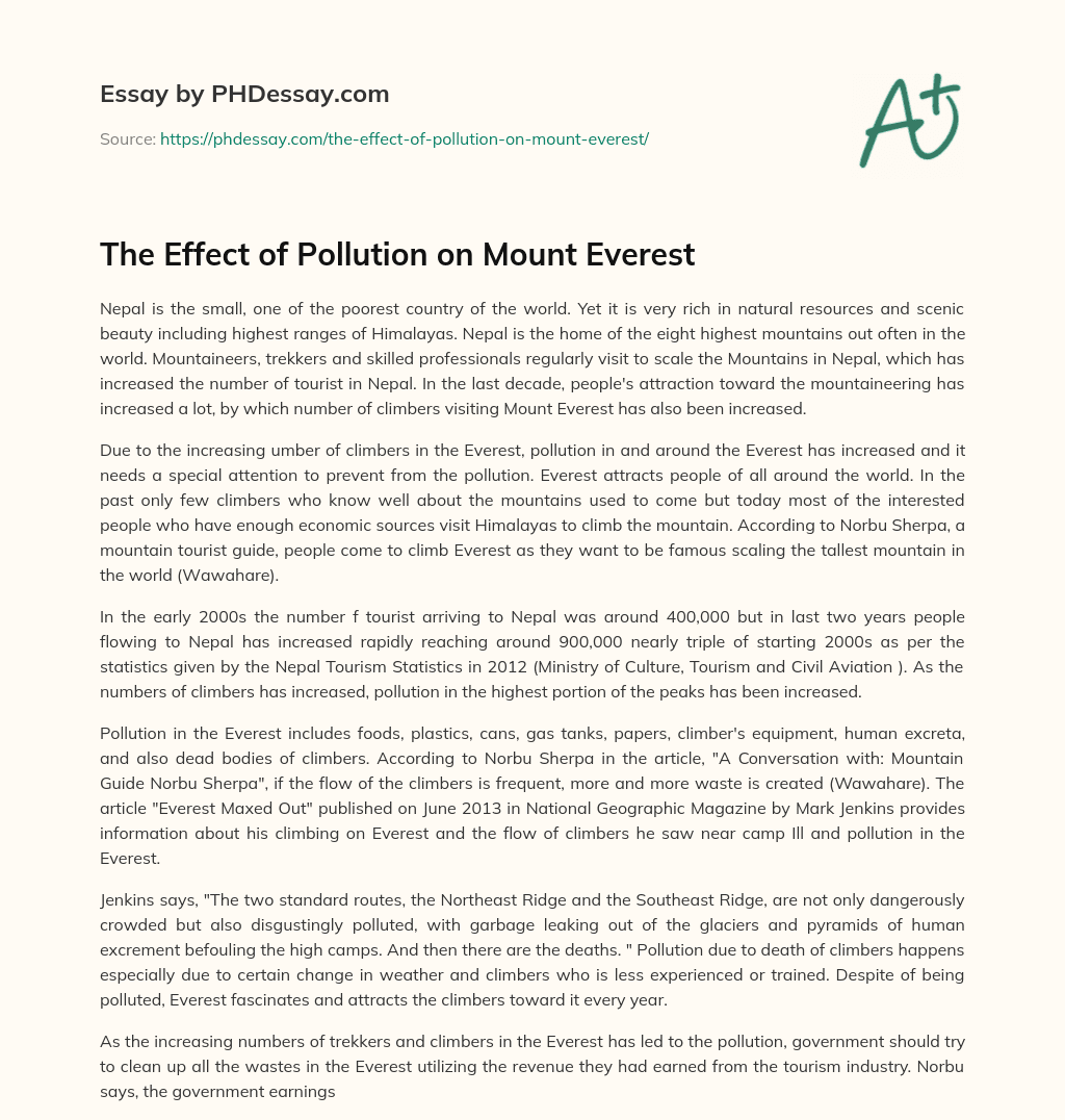 The Effect of Pollution on Mount Everest essay