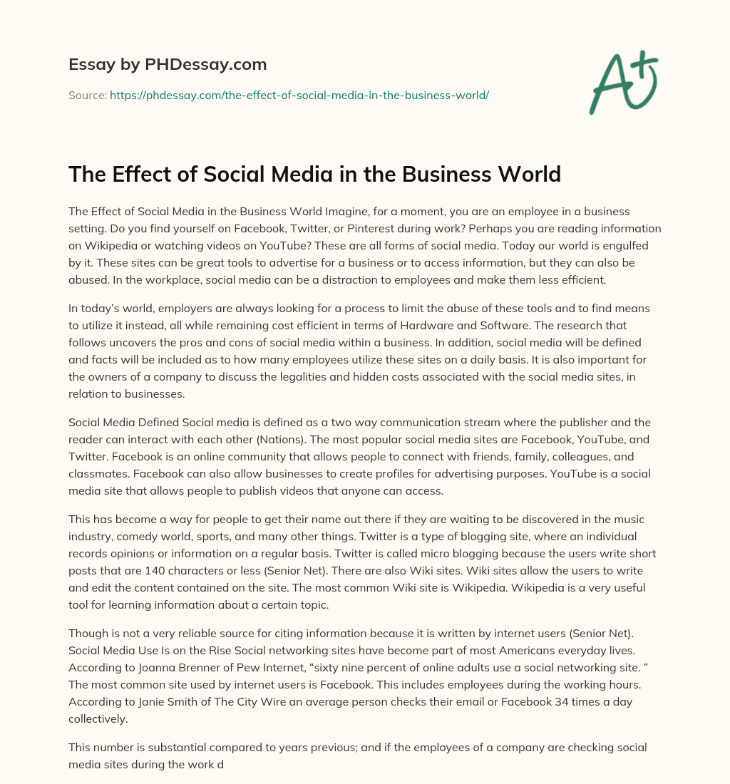 The Effect of Social Media in the Business World essay