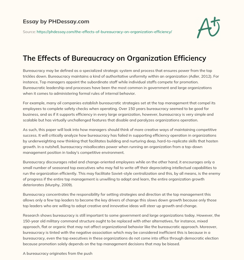 The Effects of Bureaucracy on Organization Efficiency essay