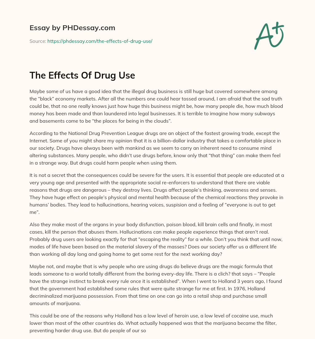 The Effects Of Drug Use essay