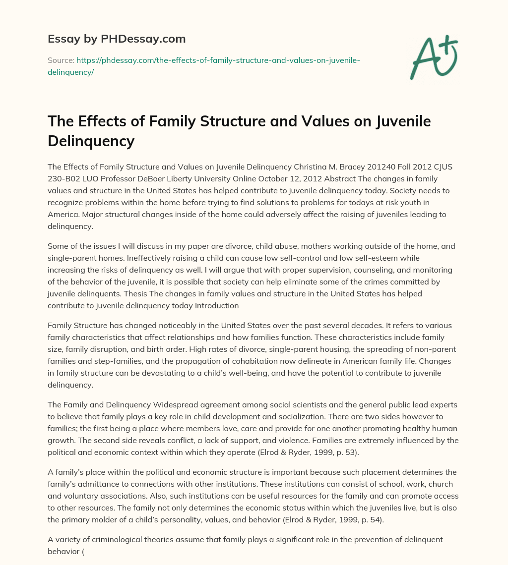 The Effects of Family Structure and Values on Juvenile Delinquency essay