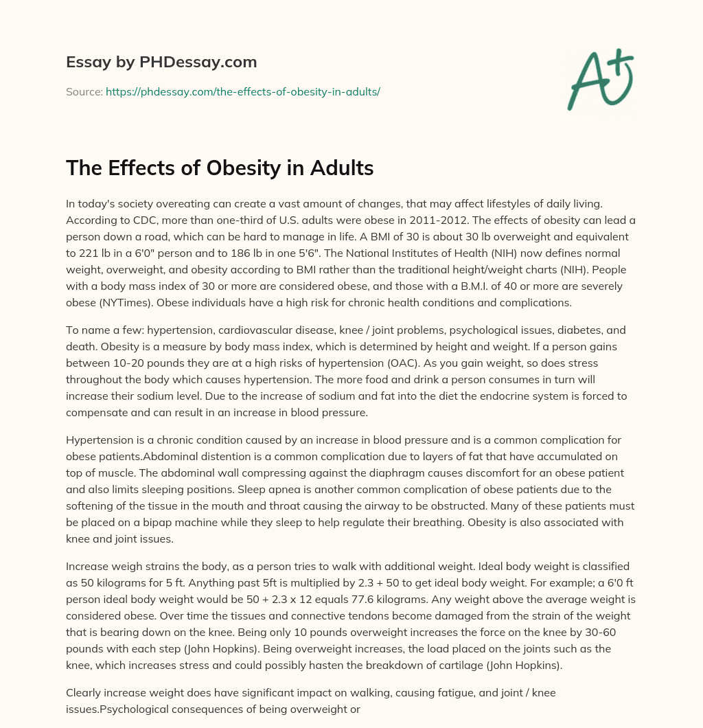 overweight and obesity essay