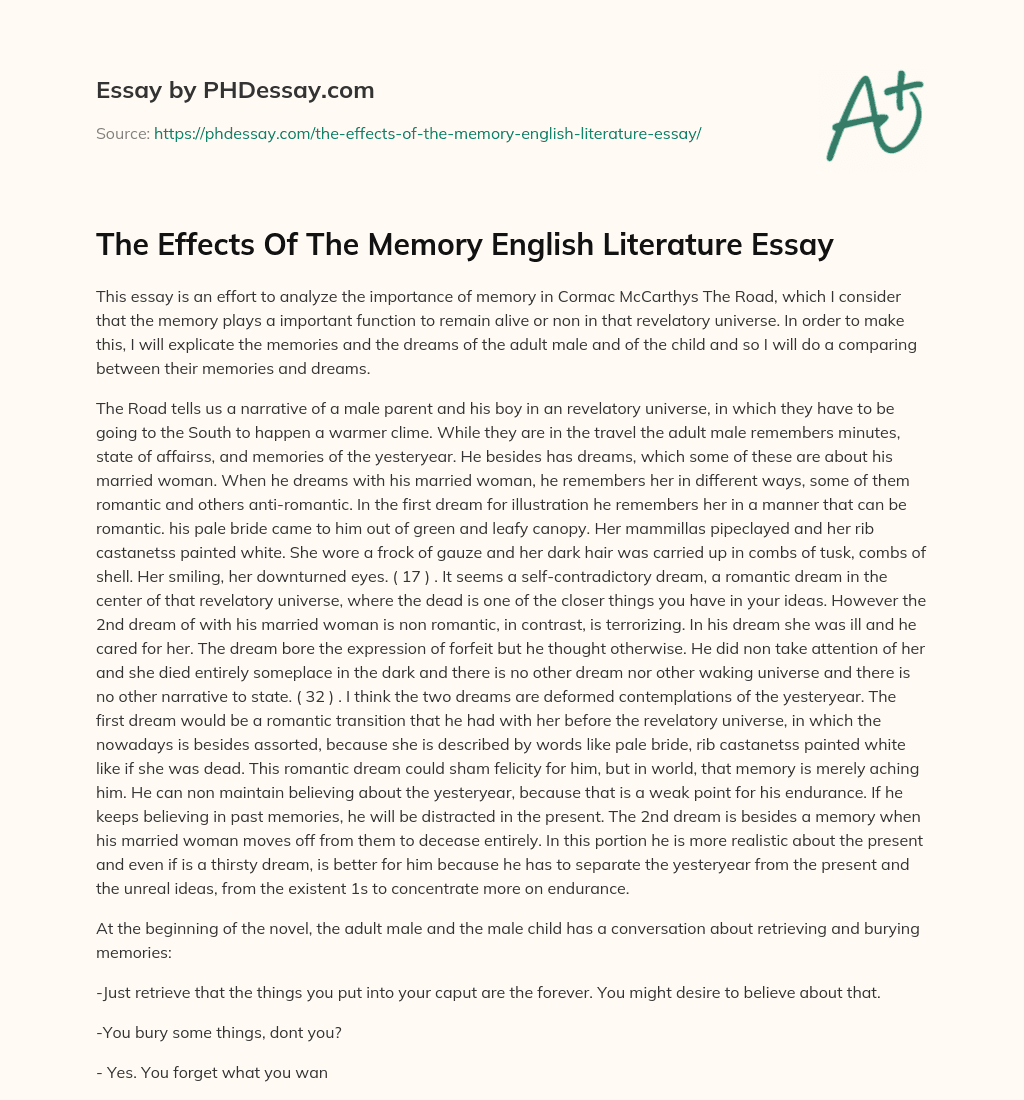 The Effects Of The Memory English Literature Essay essay