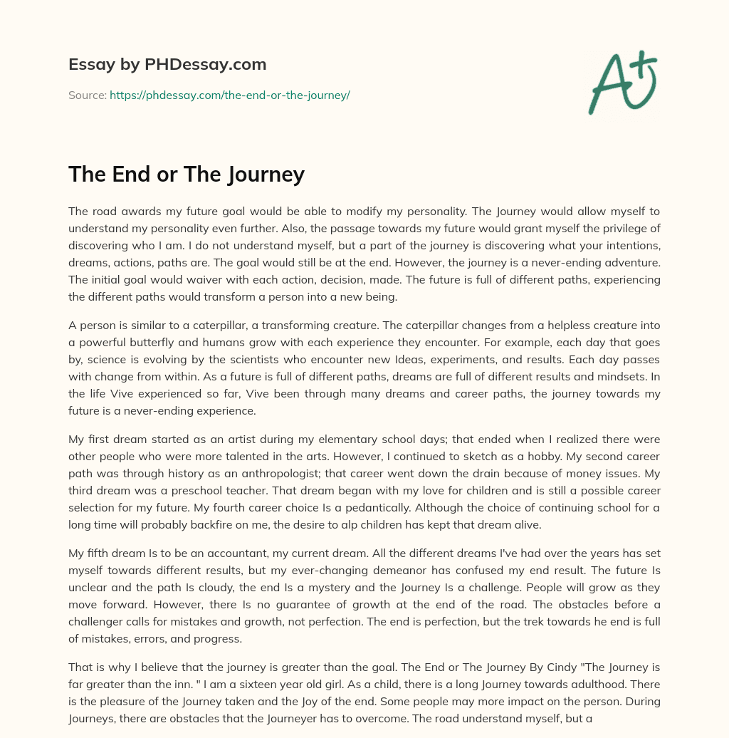 The End or The Journey essay