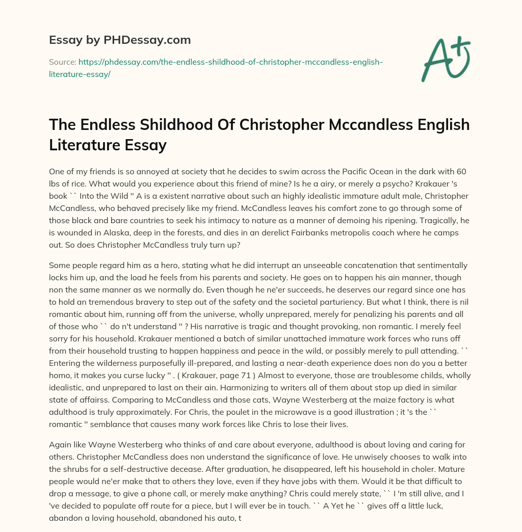 The Endless Shildhood Of Christopher Mccandless English Literature Essay essay