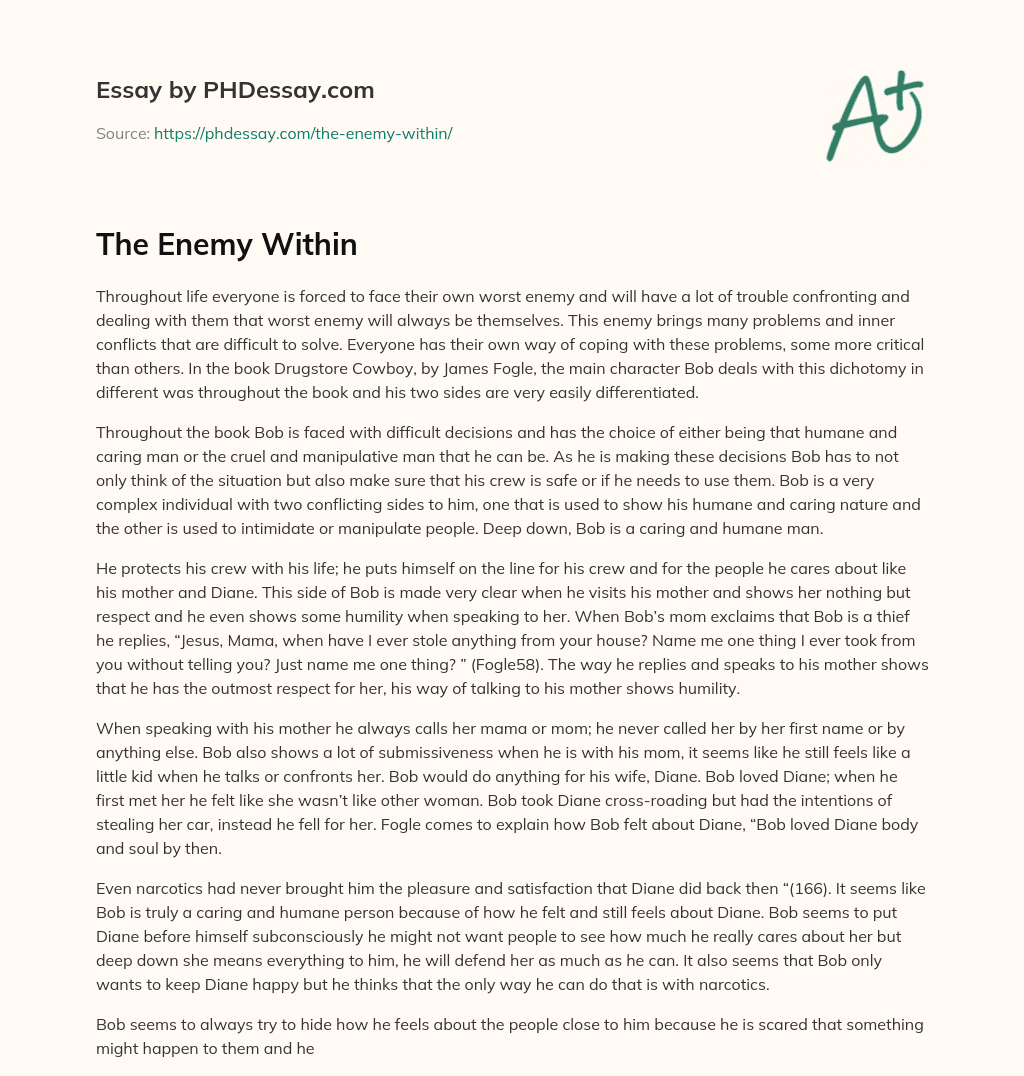 The Enemy Within essay