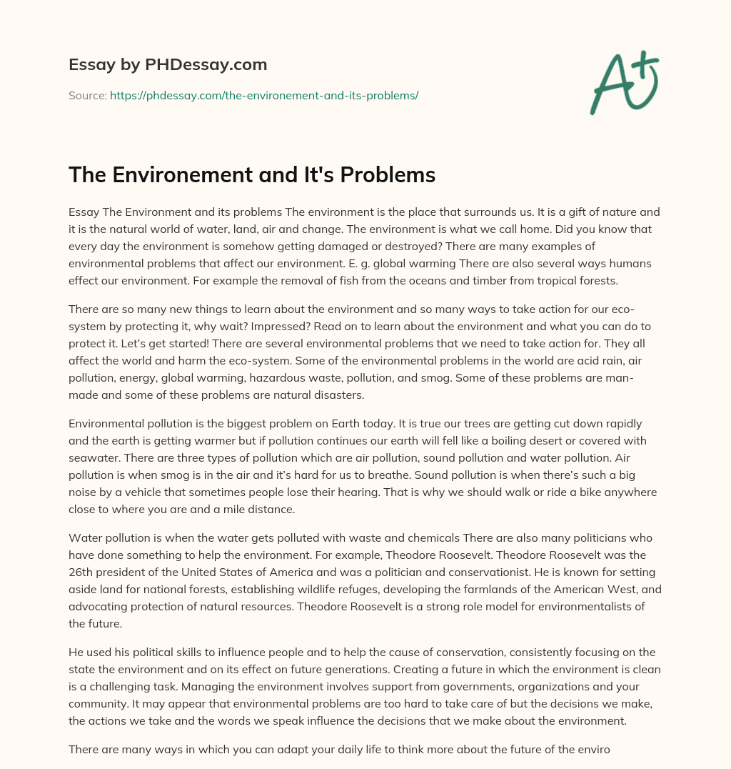 The Environement and It’s Problems essay