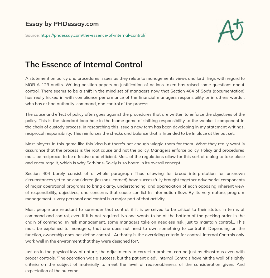 The Essence of Internal Control essay