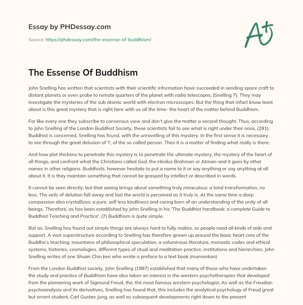 The Essense Of Buddhism essay