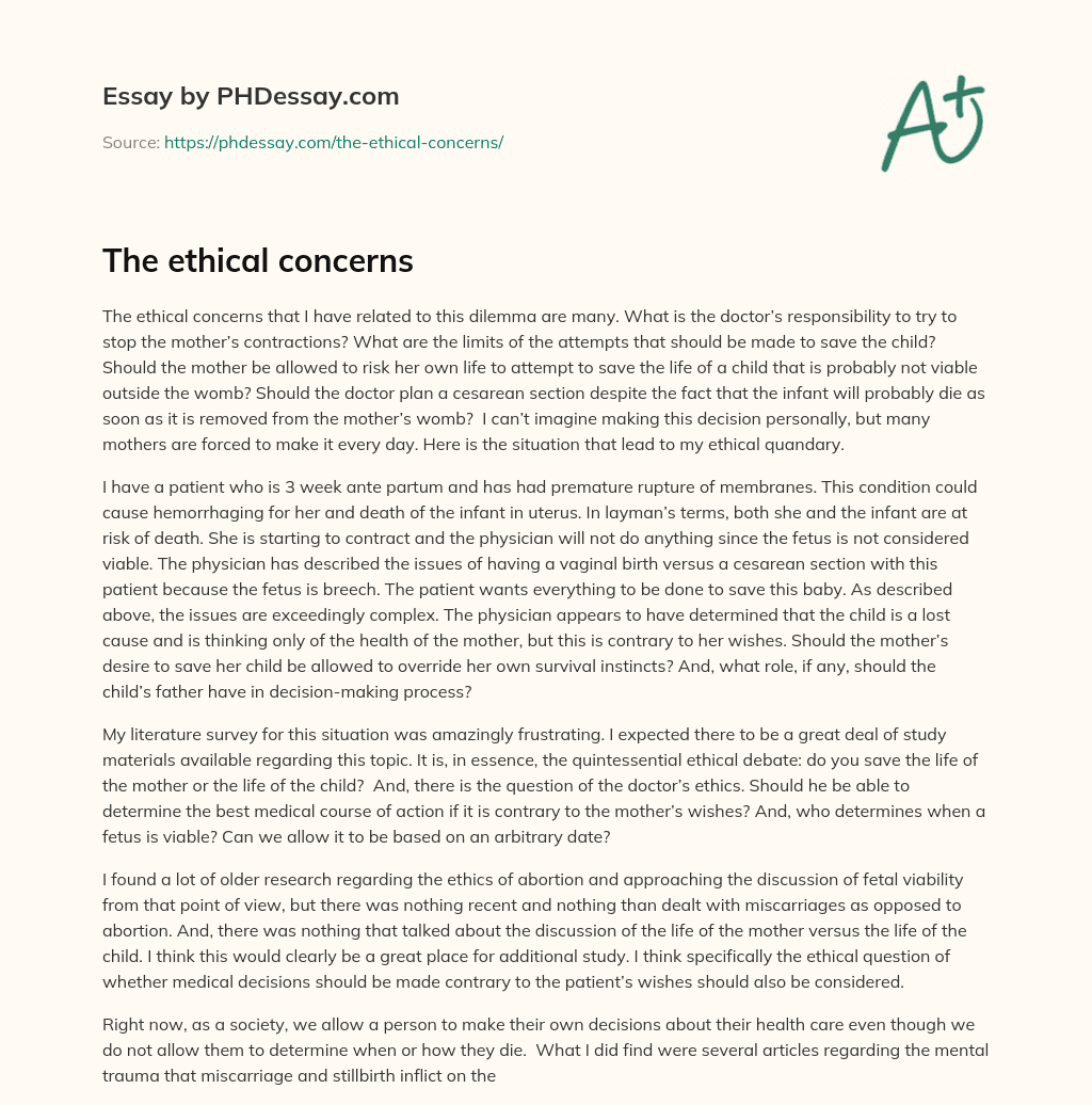 The ethical concerns essay