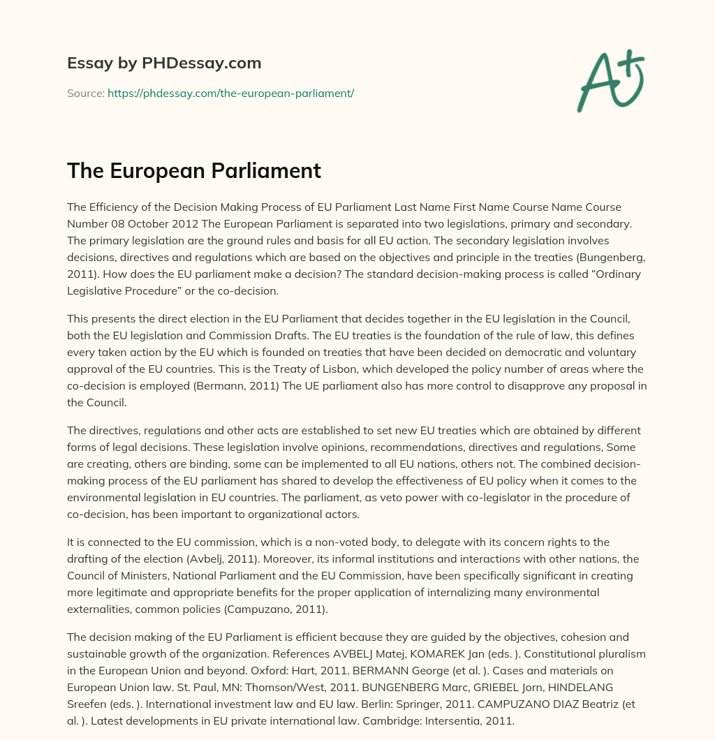The European Parliament essay