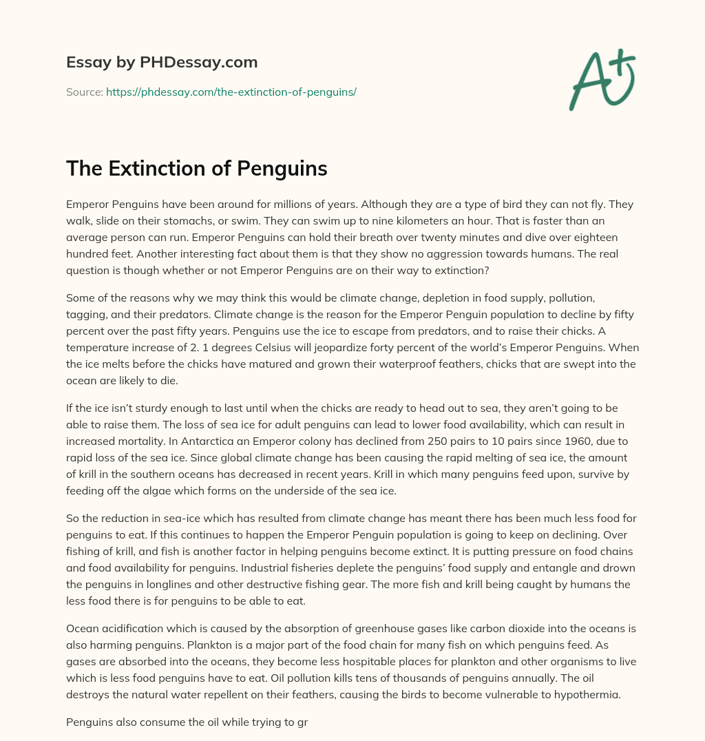 The Extinction of Penguins essay