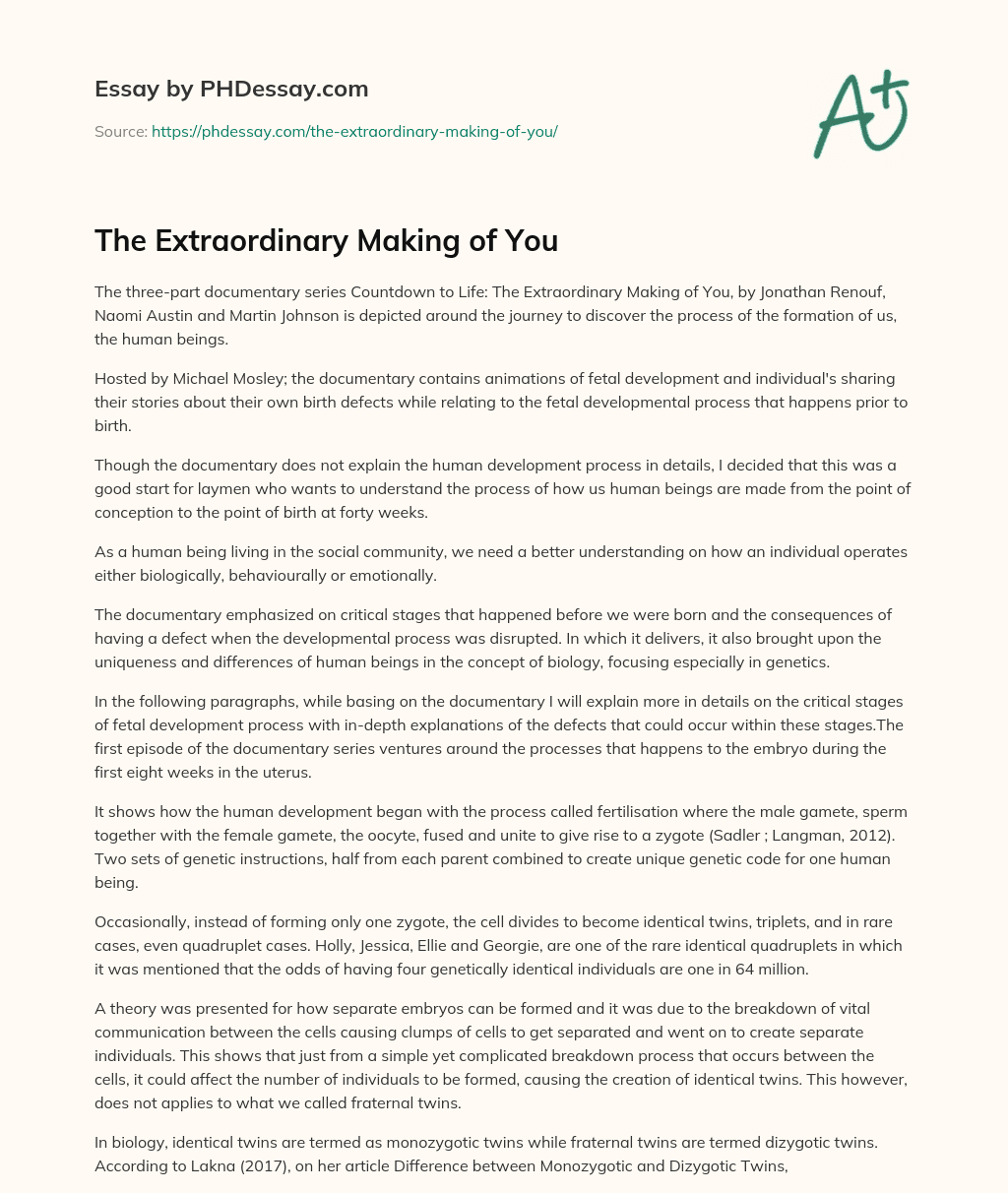 The Extraordinary Making of You essay