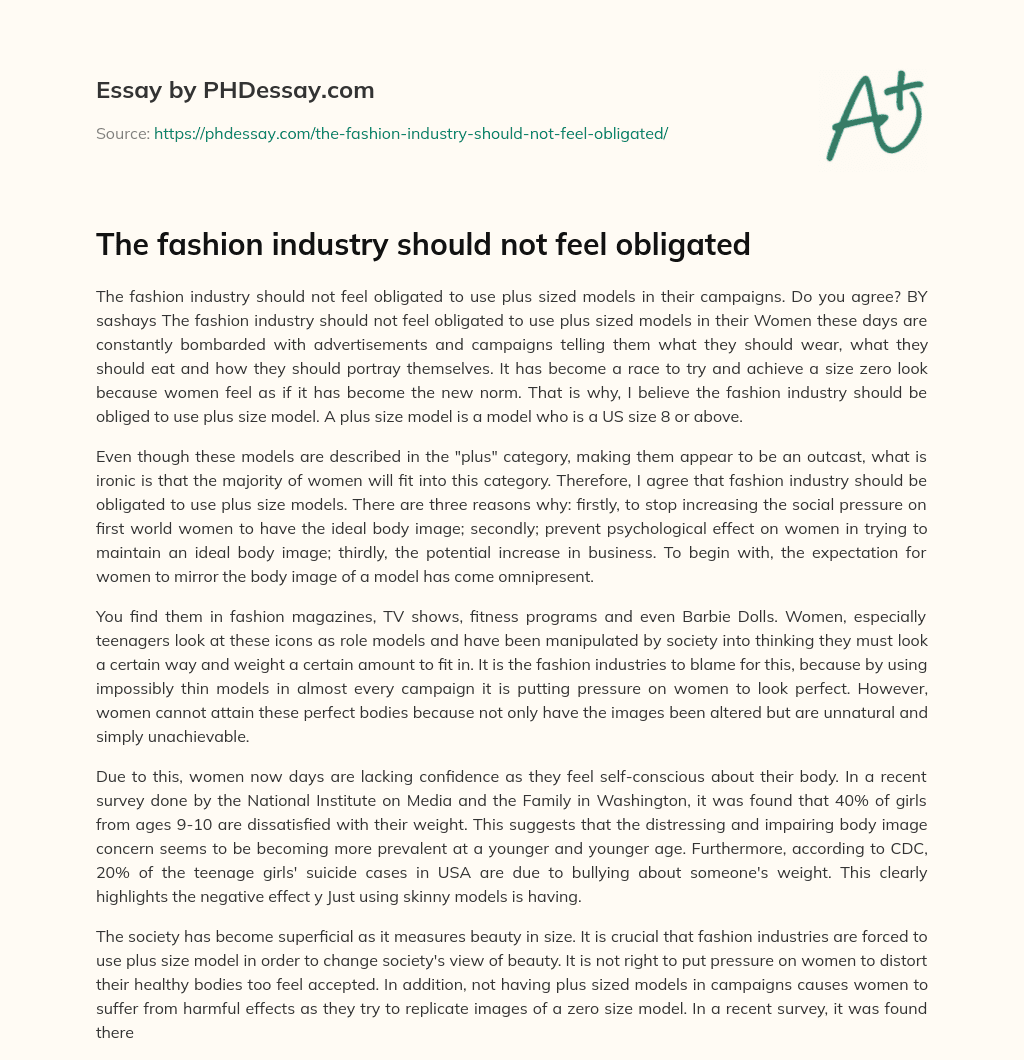 The fashion industry should not feel obligated essay