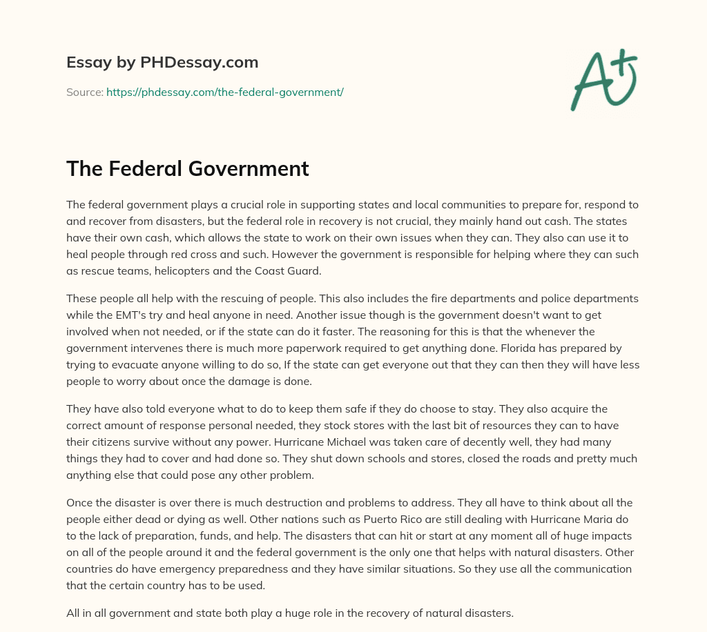 The Federal Government essay