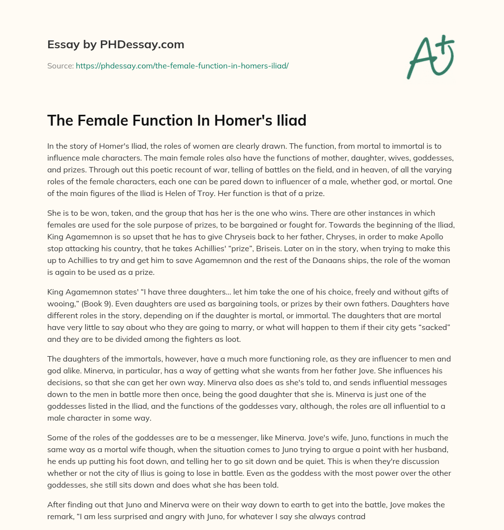 The Female Function In Homer’s Iliad essay