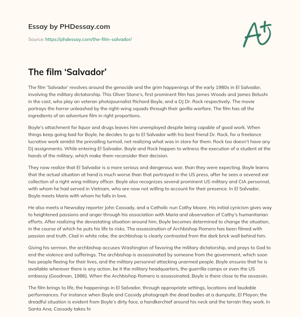 The film ‘Salvador’ essay