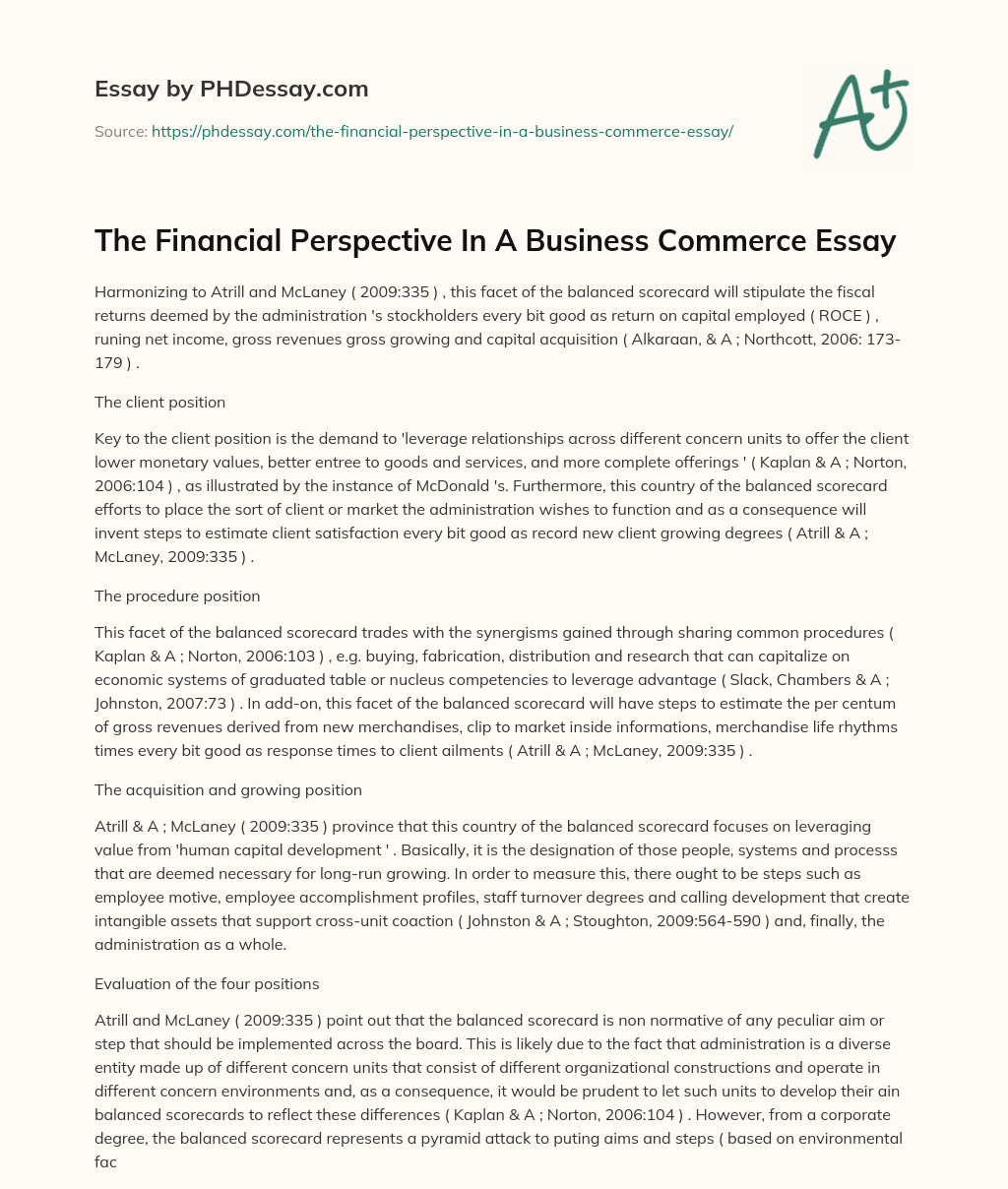The Financial Perspective In A Business Commerce Essay essay