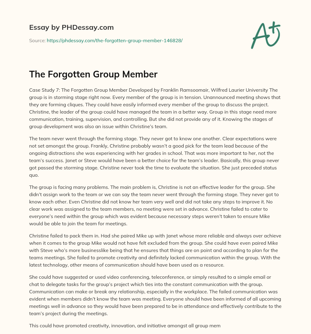 The Forgotten Group Member essay