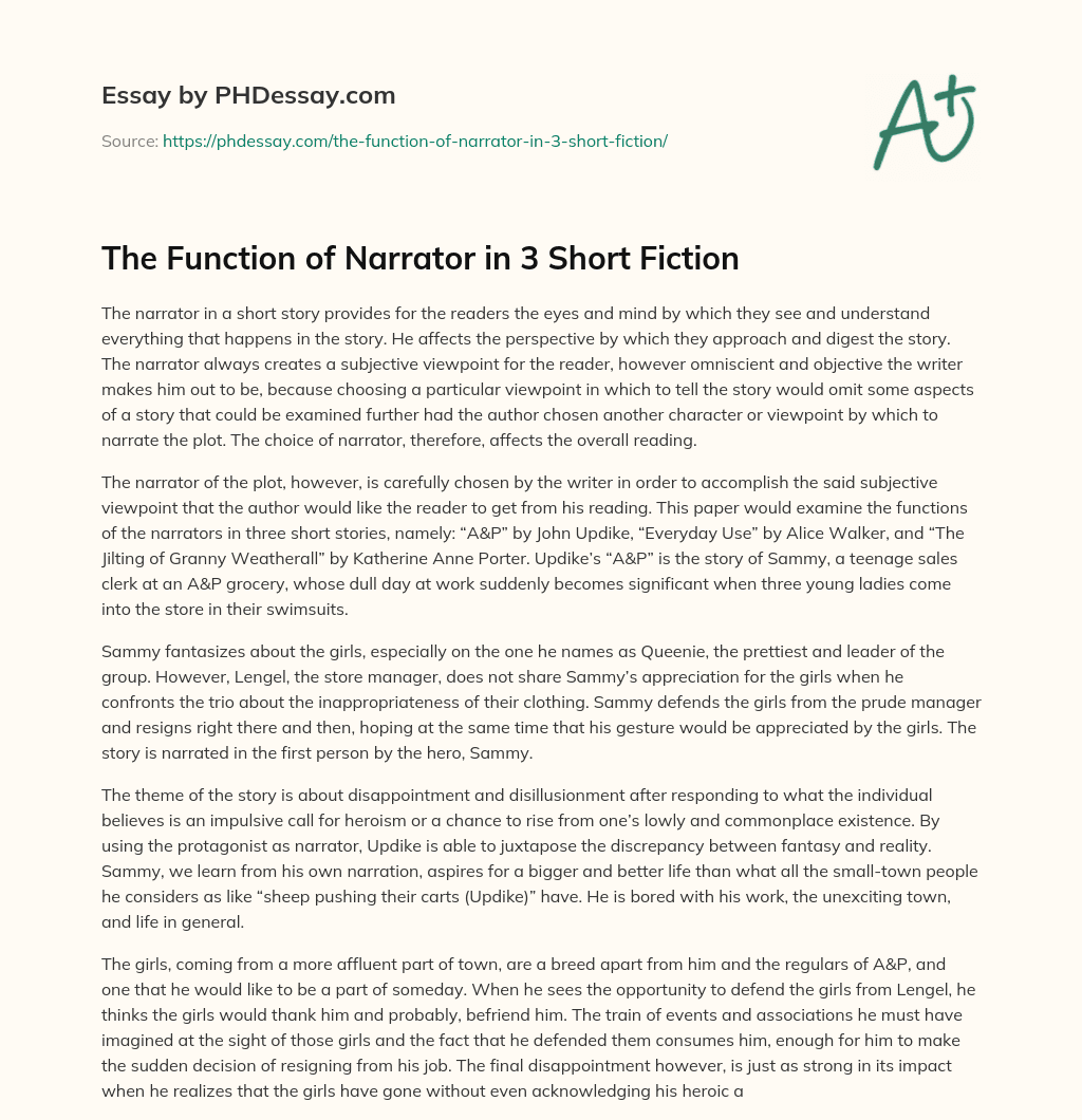 The Function of Narrator in 3 Short Fiction essay