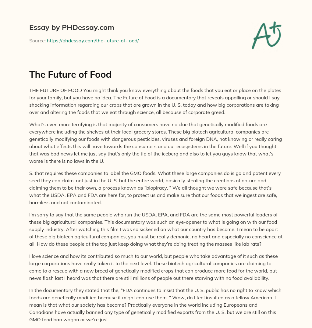 essay about future food