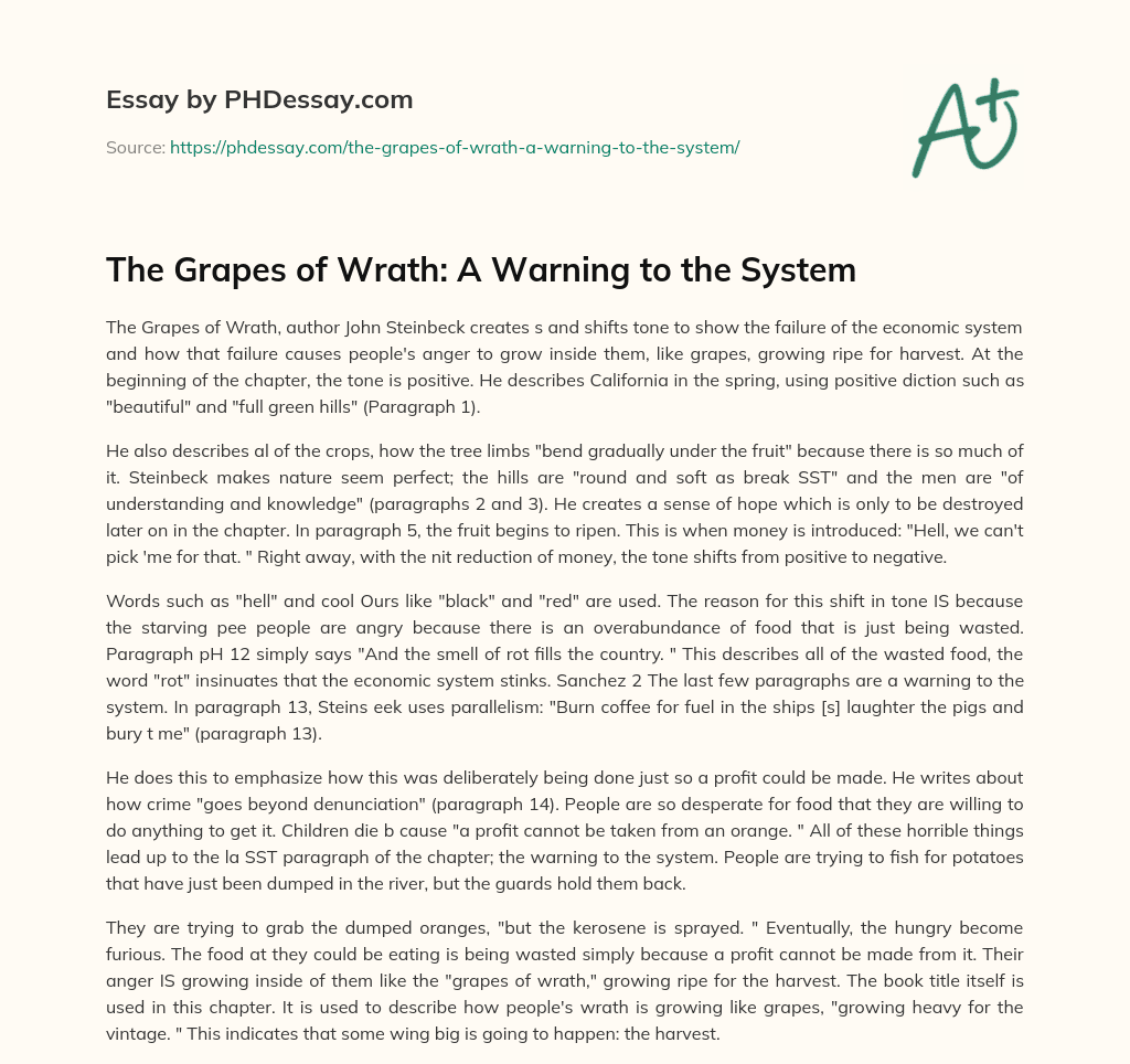 The Grapes of Wrath: A Warning to the System essay