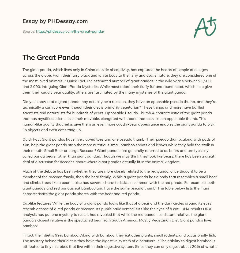 The Great Panda essay