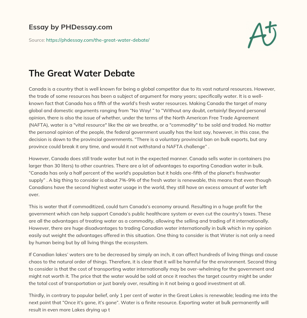 The Great Water Debate essay